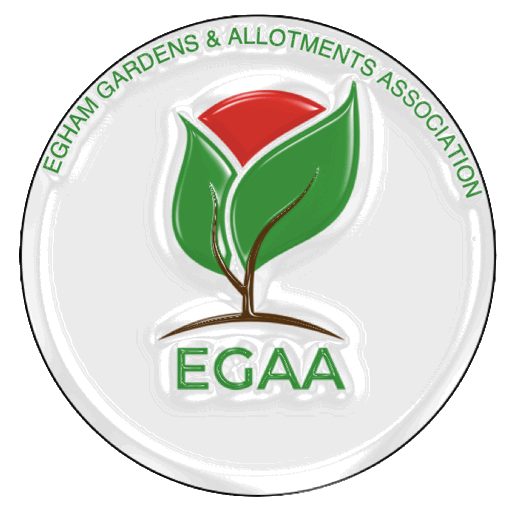 EGAA Logo